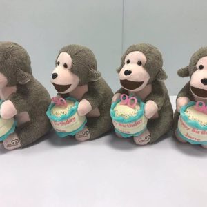 Jane Goodall's Mr H Birthday Limited Edition