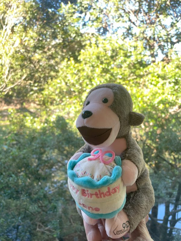 Jane Goodall's Mr H Birthday Limited Edition - Image 3